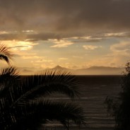 What is your favorite…