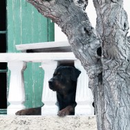 old photo, new post processing