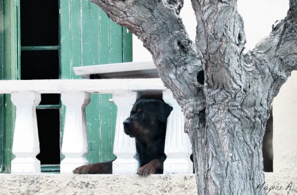 old photo, new post processing